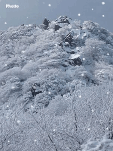 f0357487_12151494.gif