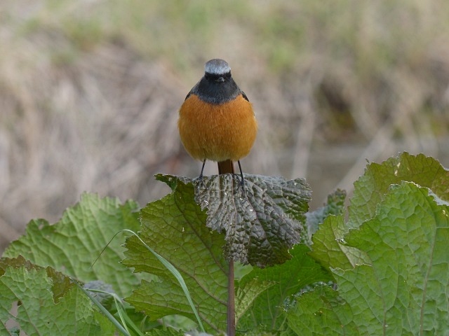 f0357487_2261652.jpg