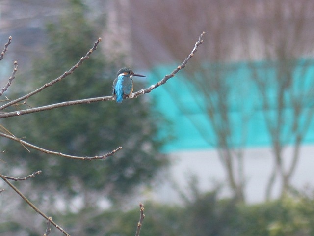 f0357487_2284970.jpg