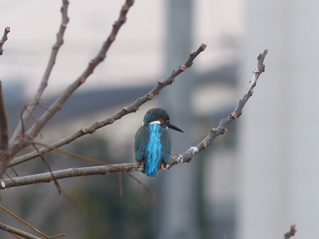 f0357487_229847.jpg