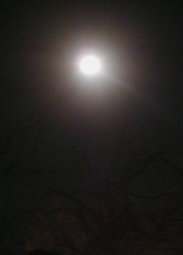 d0053294_181668.jpg