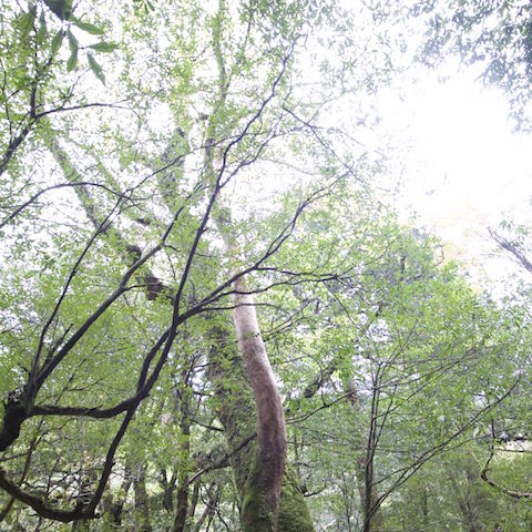 f0192998_21491293.jpg