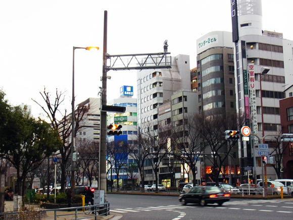 e0083517_17422491.jpg