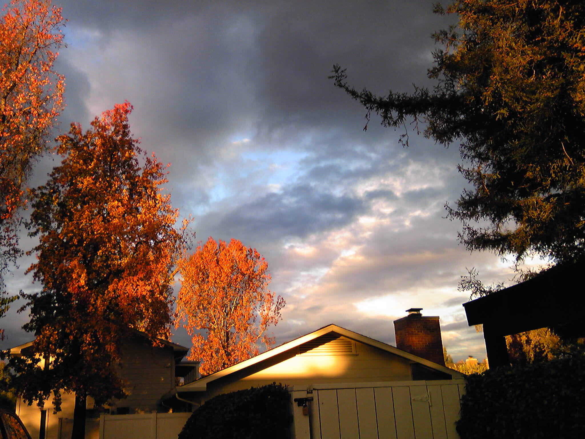 b0285619_2344142.jpg