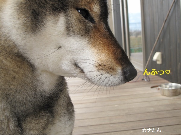 f0143123_10401645.jpg