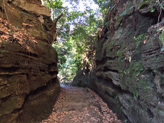 c0051529_1345081.jpg