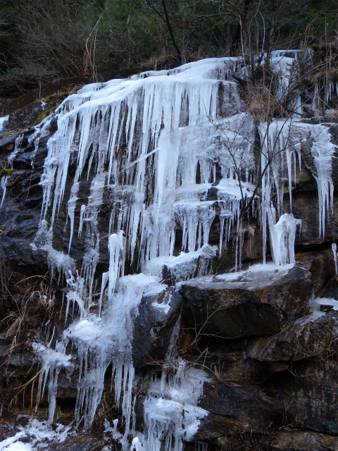 e0272335_813724.jpg