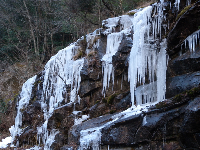 e0272335_931753.jpg