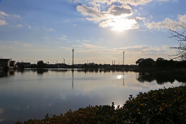 a0242438_19562596.jpg