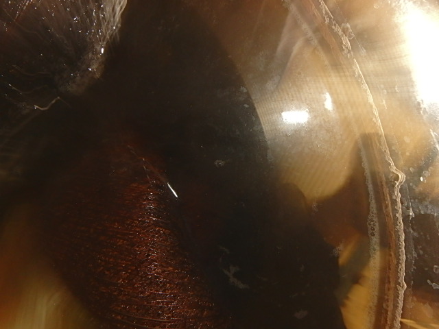 f0334143_201492.jpg