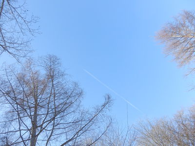 b0126549_11372885.jpg