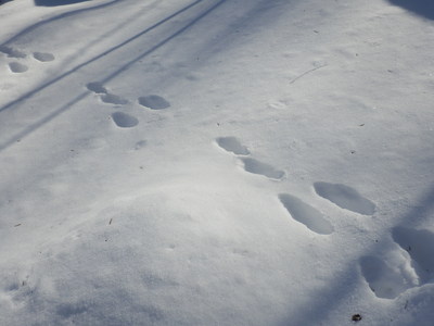 b0126549_11394745.jpg