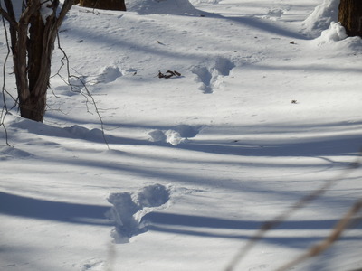 b0126549_1144158.jpg
