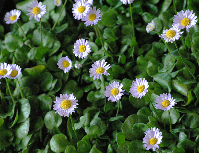 a0001354_2312582.gif