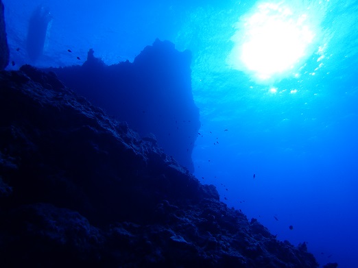 e0132965_822758.jpg