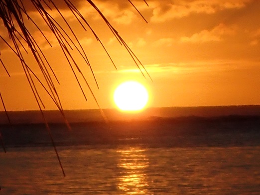 e0132965_88446.jpg