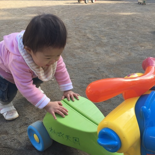 d0041575_22172068.jpeg