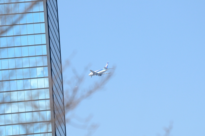 f0108478_19591430.jpg