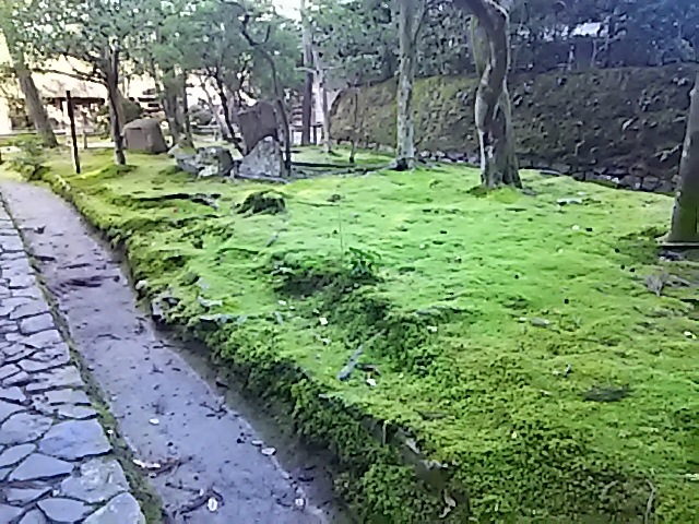 a0257080_21381018.jpg