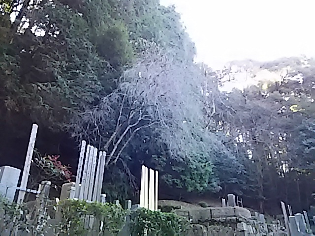 a0257080_21381480.jpg