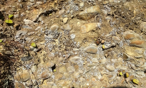d0212491_1611061.jpg
