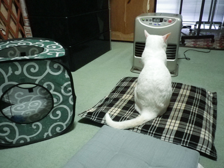 f0239100_20371893.jpg