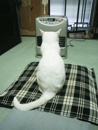 f0239100_20381213.jpg