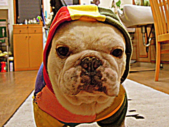 a0158613_13532963.jpg
