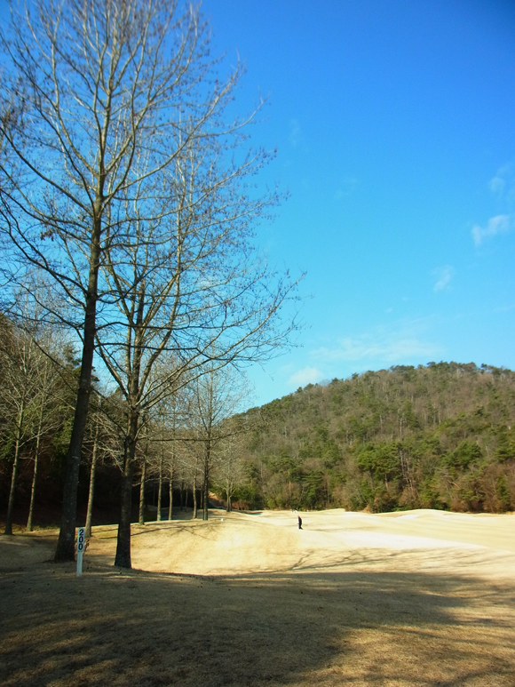 e0083517_20180428.jpg