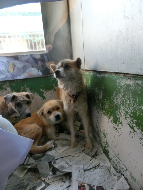 f0078320_3334138.jpg