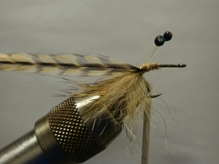b0259124_19565169.jpg