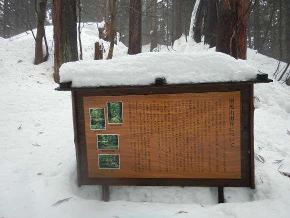 f0118332_00282995.jpg