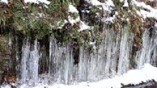 a0347533_18450510.jpg
