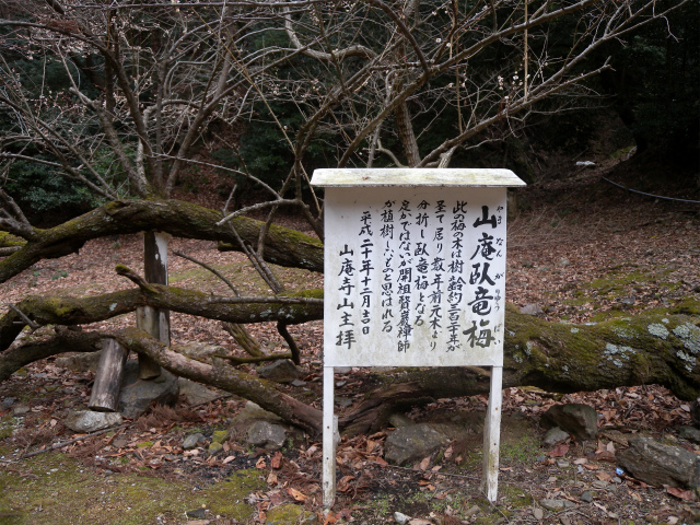 e0272335_1683075.jpg