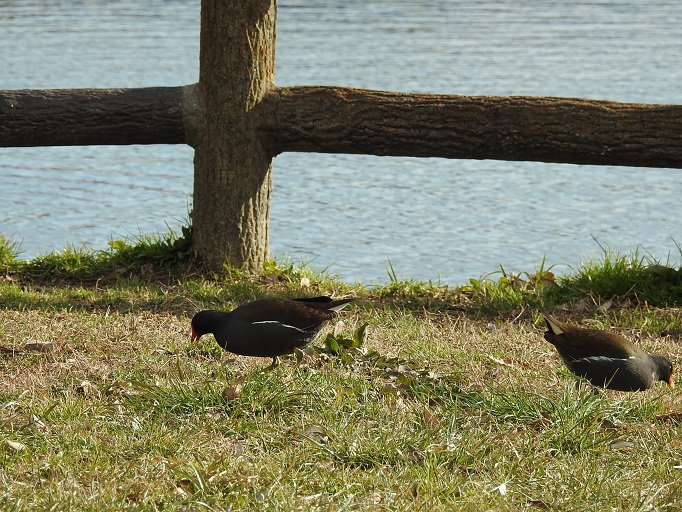 a0237349_8253556.jpg