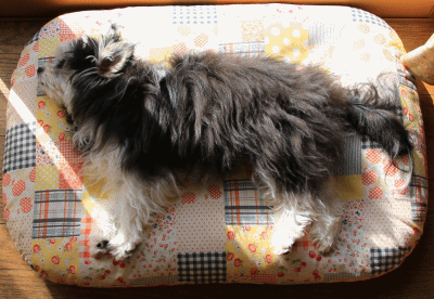 c0145250_10555549.gif