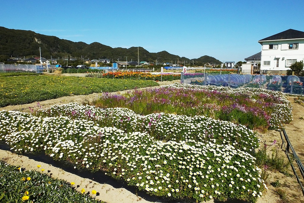 b0236251_121184.jpg