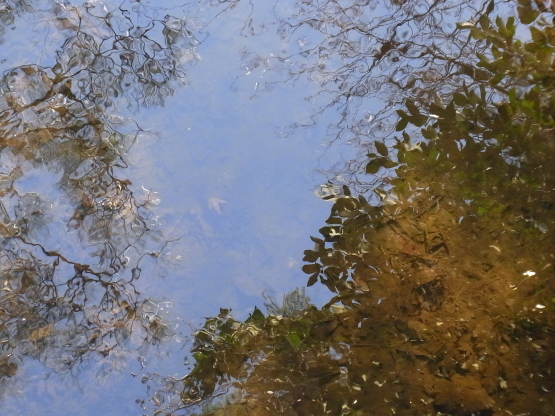 a0339467_19294312.jpg