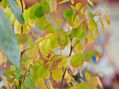 e0264374_12291359.jpg
