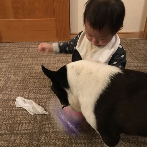 d0041575_23035729.jpeg