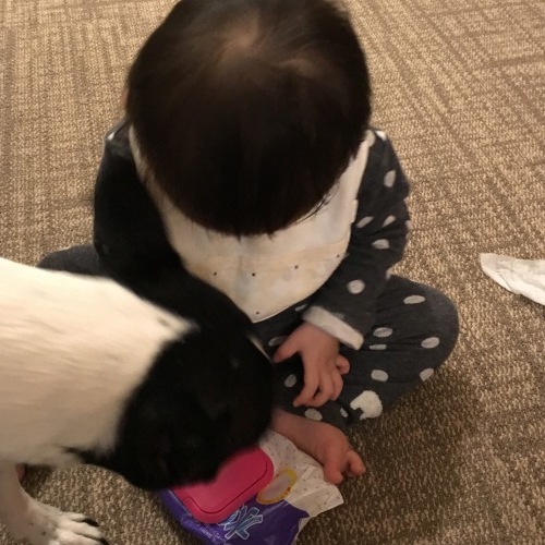 d0041575_23052638.jpeg