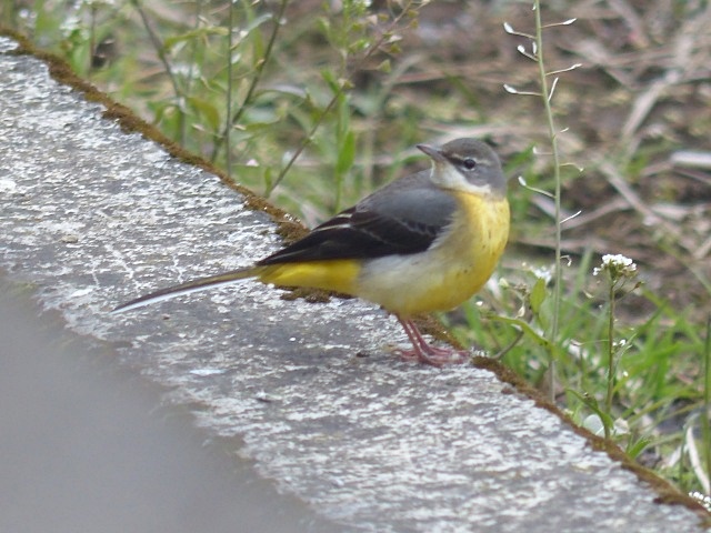 f0357487_22525443.jpg
