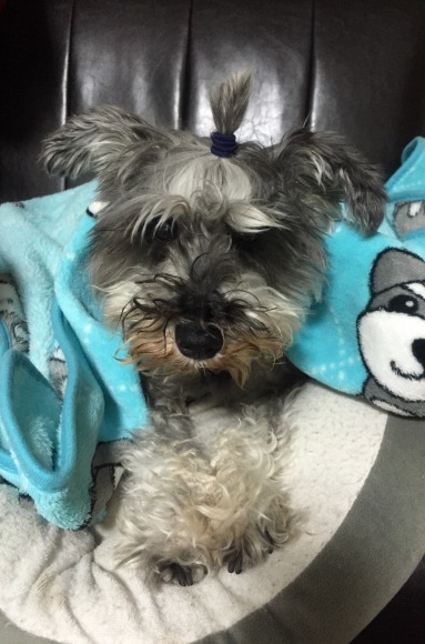 b0188998_22563821.jpeg