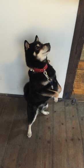 b0188998_22571337.jpeg