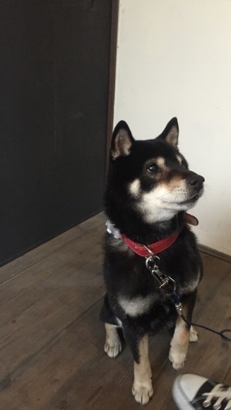 b0188998_22572285.jpeg