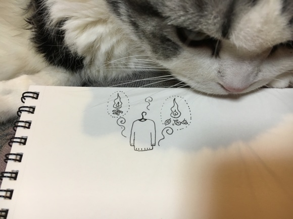 c0011300_23480089.jpeg
