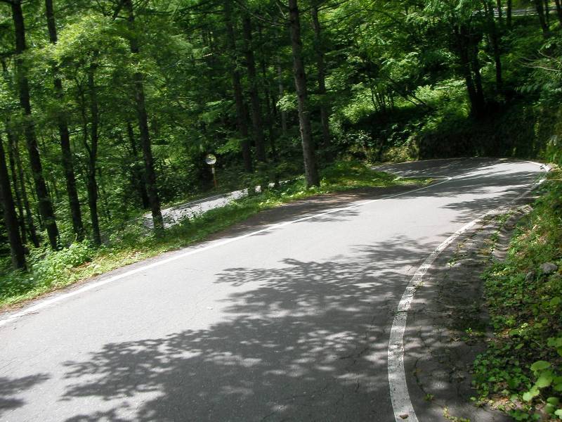 b0164002_13053690.jpg