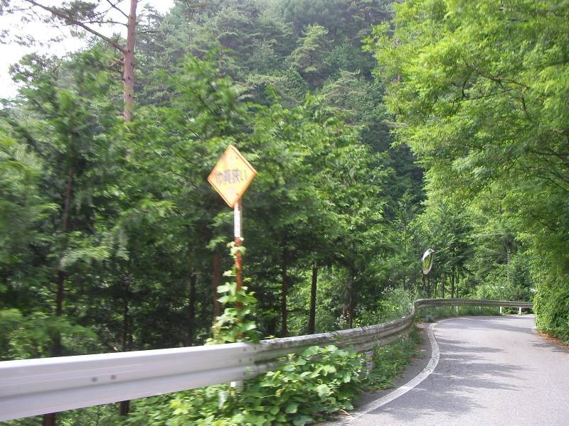 b0164002_13081872.jpg