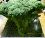 f0231709_19462828.gif