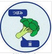 f0231709_19551056.gif